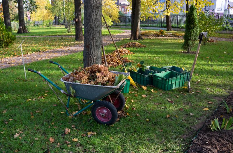 Brush Clearing Service in Atlanta, GA