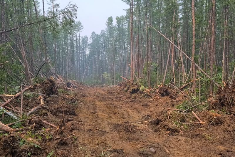 Land Clearing in Atlanta, GA