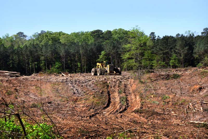 Pool Land Clearing in Atlanta, GA